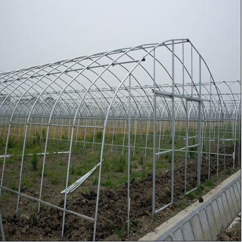 黄南大棚草莓养殖
