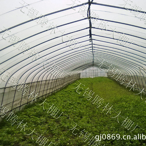 兴安盟建一亩草莓大棚产量