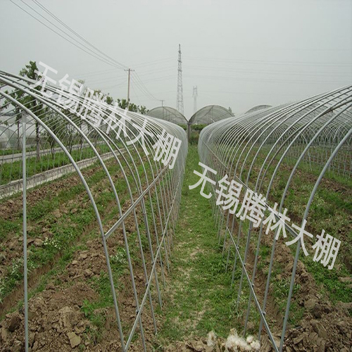 惠州农用单体钢架大棚